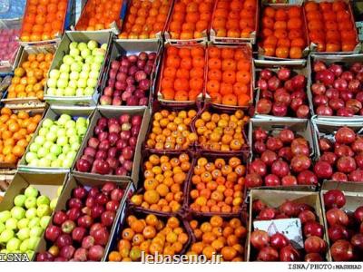 خرید میوه شب عید بالاتر از نرخ بازار محرز شد