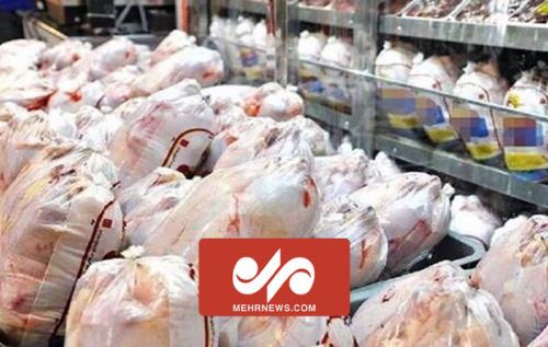 ۷۰۰ تن مرغ به صورت حمایتی از مرغداران در خراسان رضوی خریداری شد