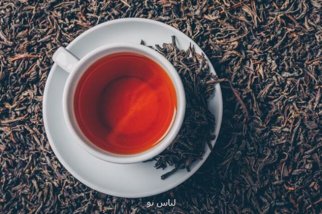 صادرات چای ایرانی 64 درصد بیشتر شد
