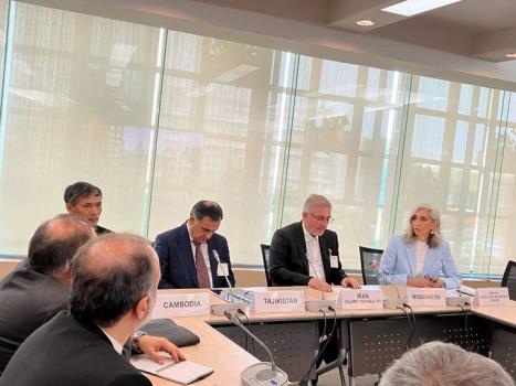 ایران قدمهای مهمی برای کاهش موثر خطر بلایا برداشته است