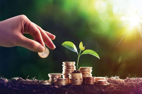 دلالان، منتفعان اصلی قیمت گذاری دستوری