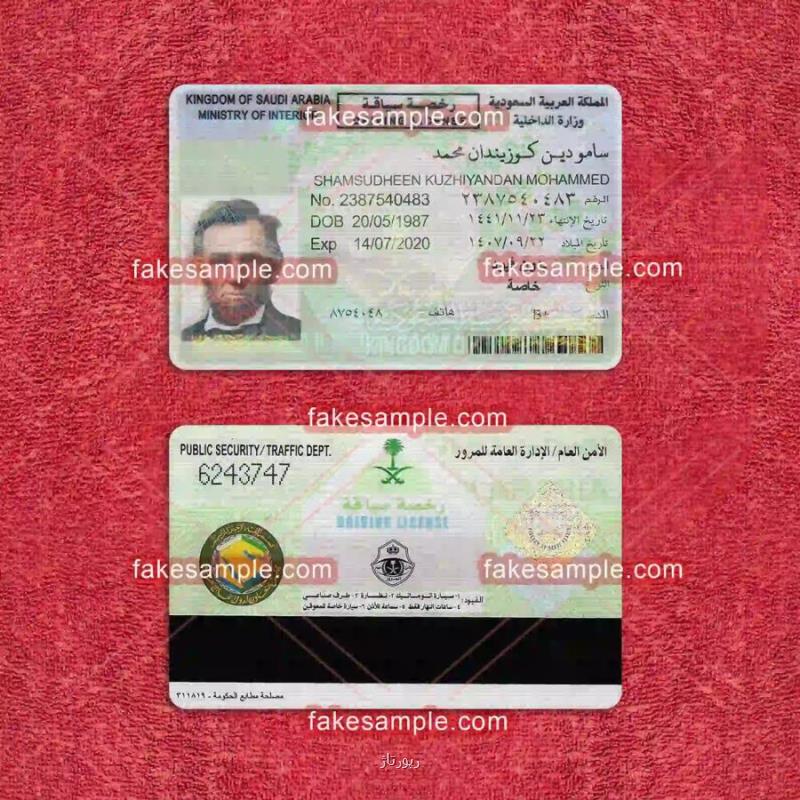 Denmark Driver Licence Fake Template
