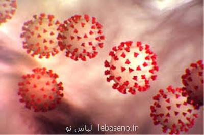 رجوع به دین و عقل بهترین ملاك تشخیص حق