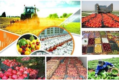 كاهش هزینه صادرات محصولات كشاورزی به اوراسیا